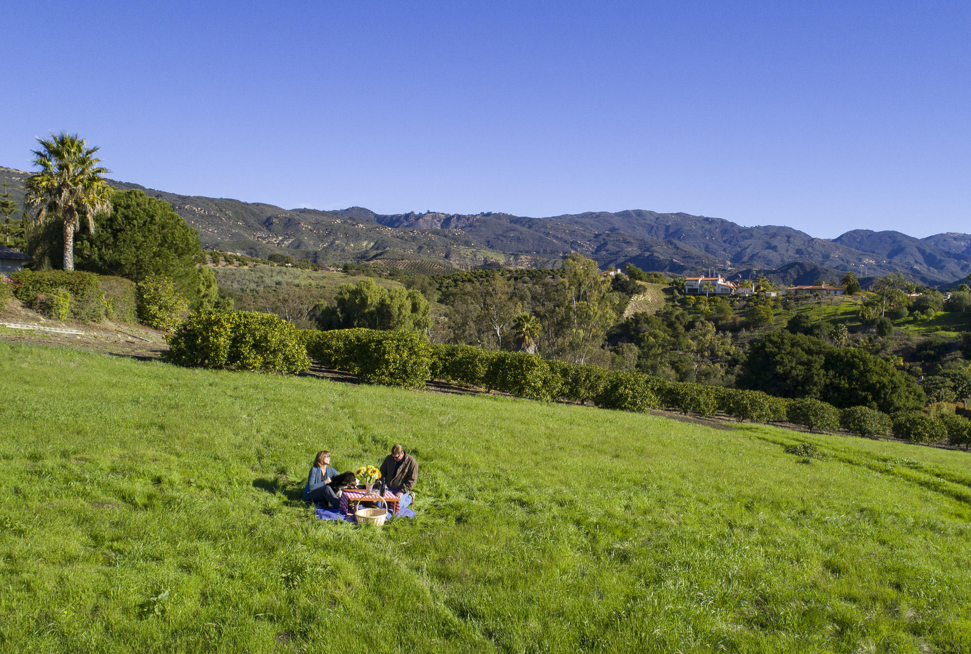 1140 Via Del Rey Goleta, CA 93111 - Photo 7 of 14 a view of a lush green outdoor space with mountain view