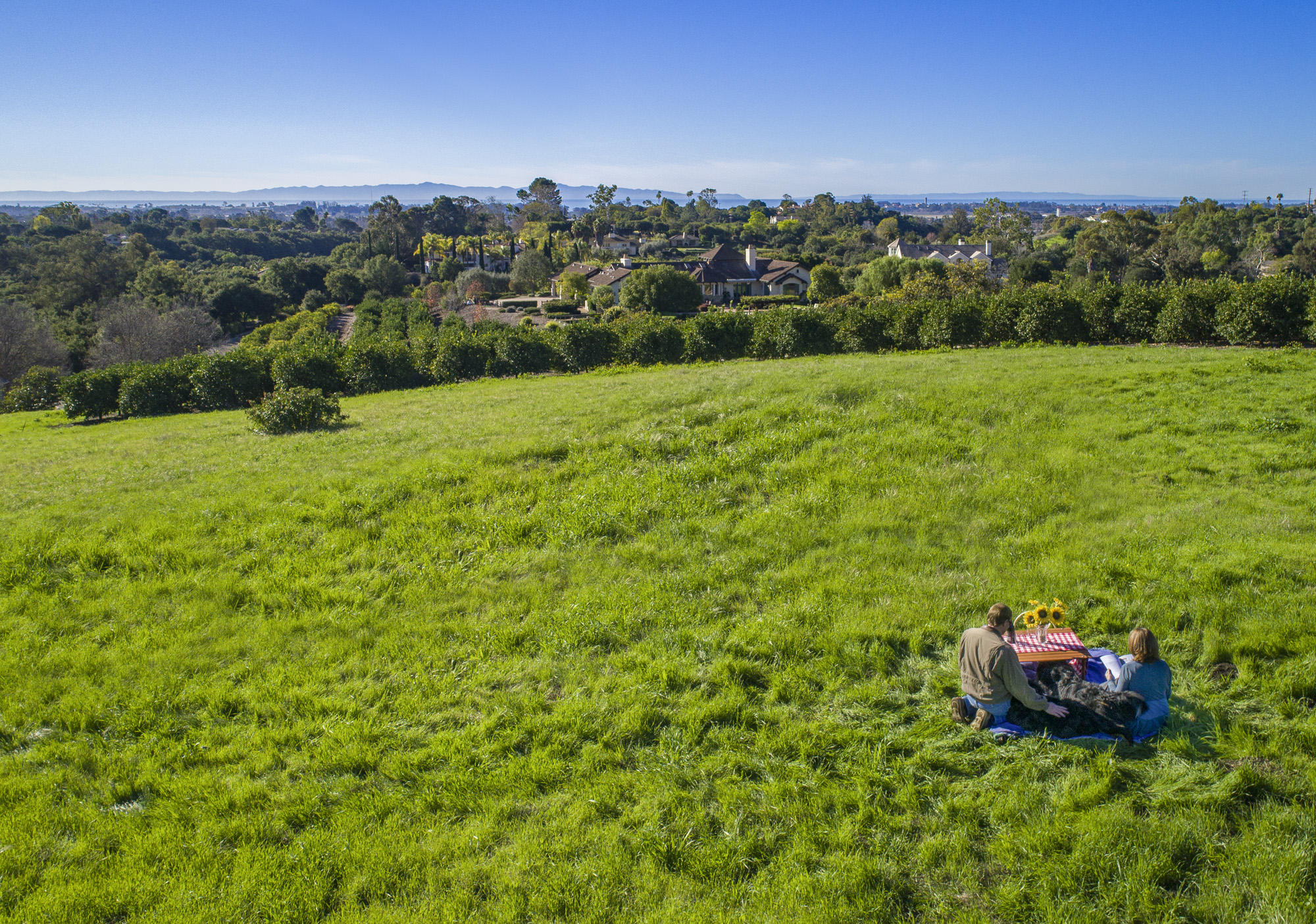 1140 Via Del Rey Goleta, CA 93111 - Photo 8 of 14 a view of a lush green field