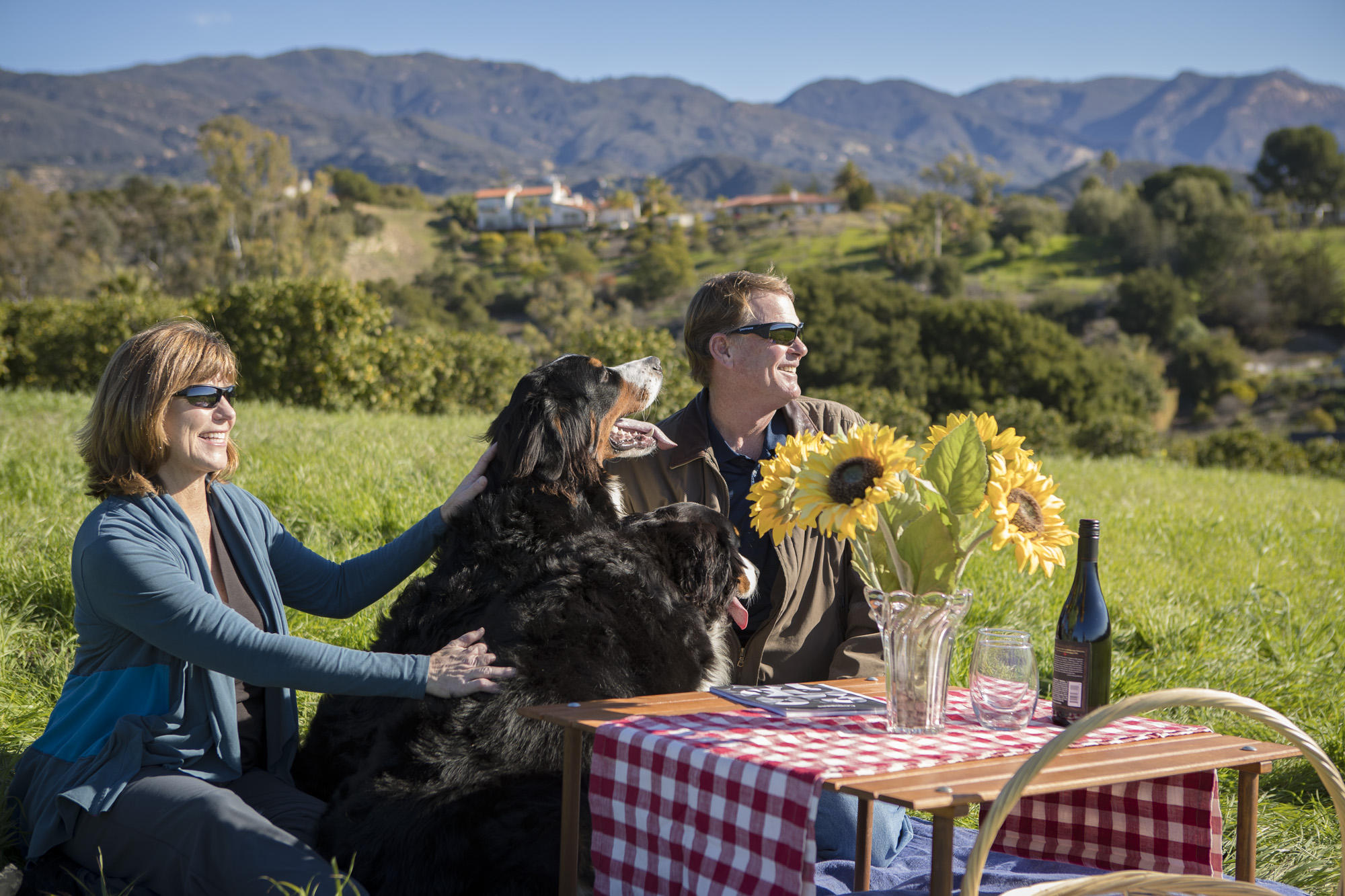 1140 Via Del Rey Goleta, CA 93111 - Photo 9 of 14 a view of swimming pool with a table and chairs
