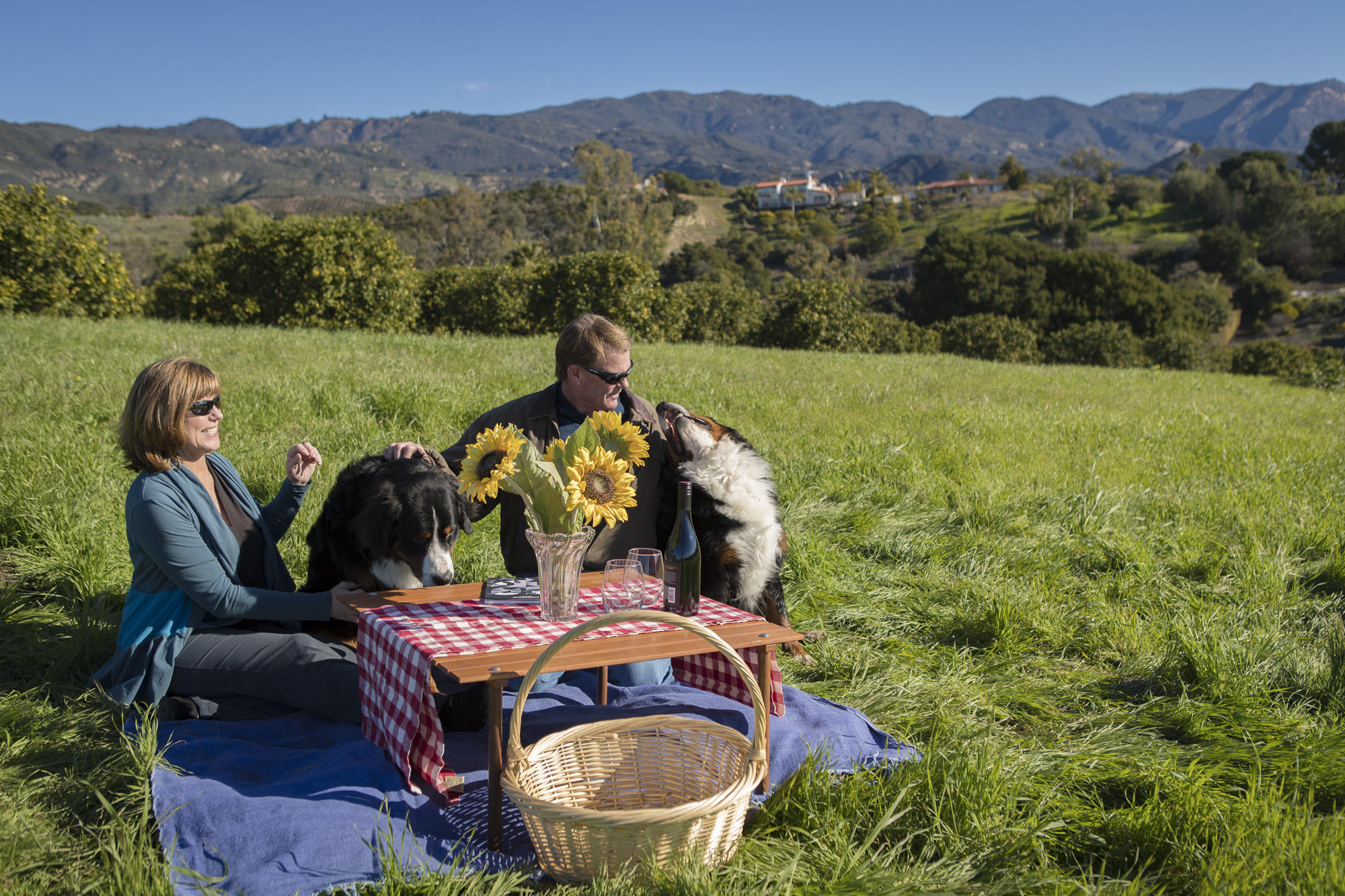 1140 Via Del Rey Goleta, CA 93111 - Photo 10 of 14 a backyard of a house with table and chairs