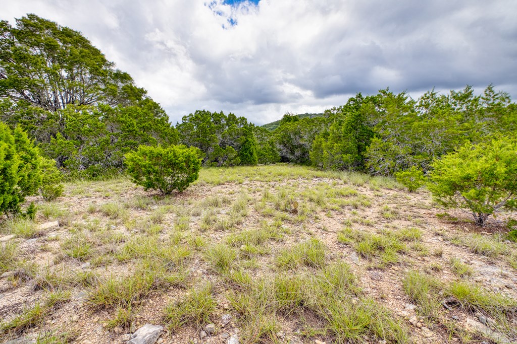 1702 Pinon Loop East Camp Wood, TX 78833 - Photo 8 of 19