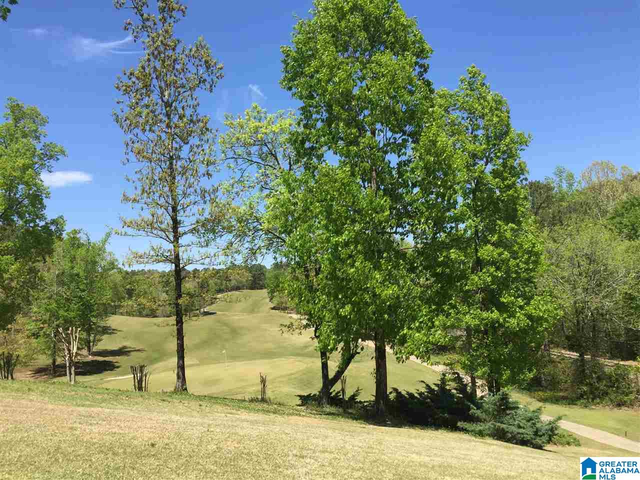 1099 Riviera Drive Calera, AL 35040 - Photo 38 of 43