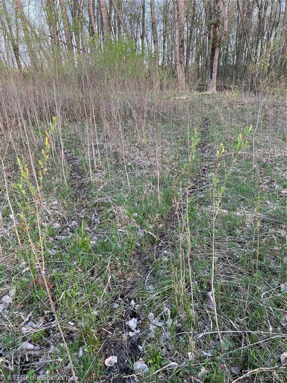 0 O Brien Road Mayville, MI 48744 - Photo 14 of 22