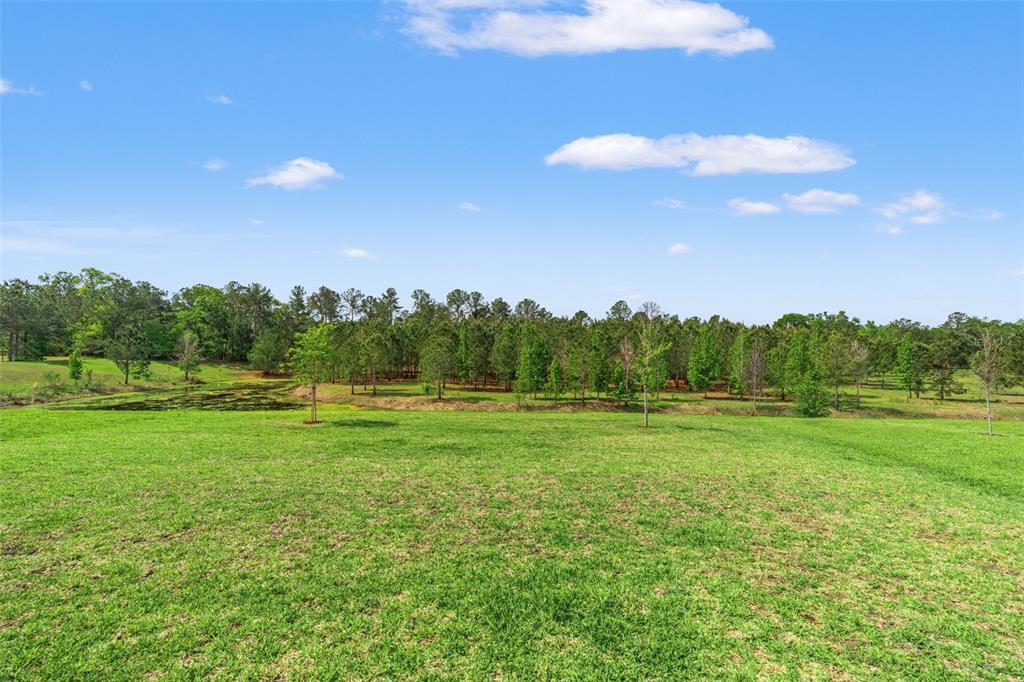 4661 Southern Valley Loop Brooksville, FL 34601 - Photo 38 of 62 a view of grassy field with trees