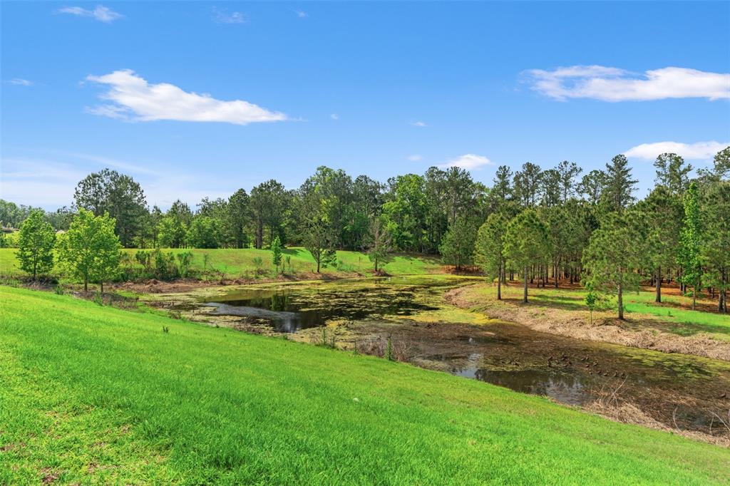 4661 Southern Valley Loop Brooksville, FL 34601 - Photo 39 of 62