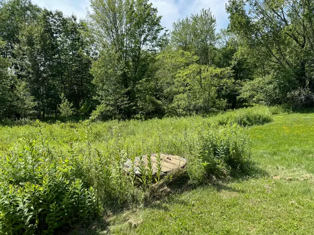 $75,000 | 249 Blacks Woods Road, Cherryfield, ME 04622