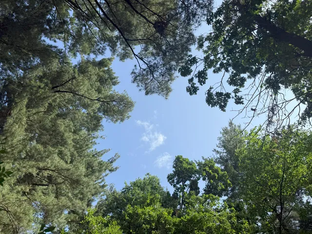 $82,500 | 353 Twin Lakes Drive, Rome, WI 54457