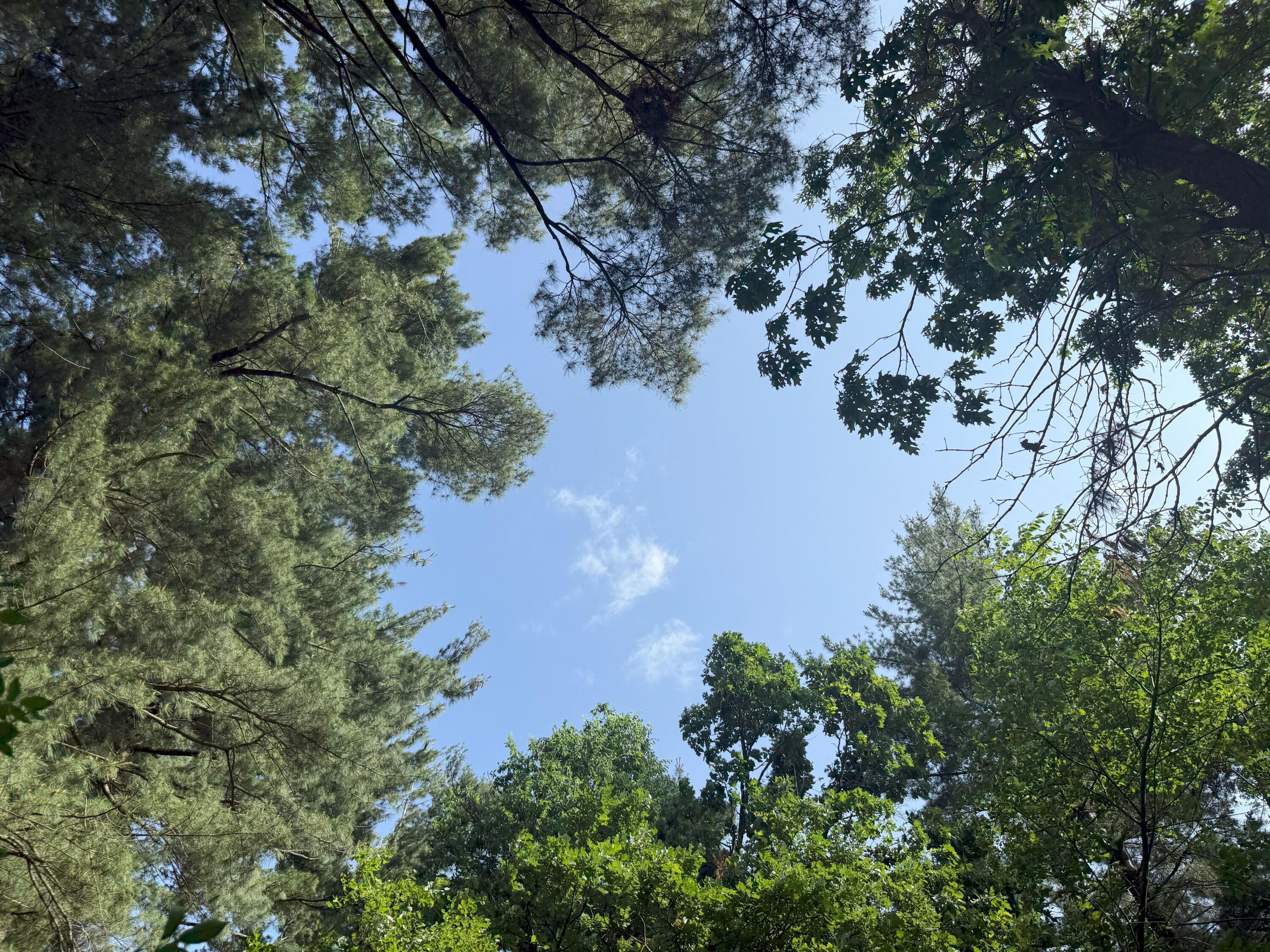 353 Twin Lakes Drive Rome, WI 54457 - Photo 11 of 39 IMG_1892(1)