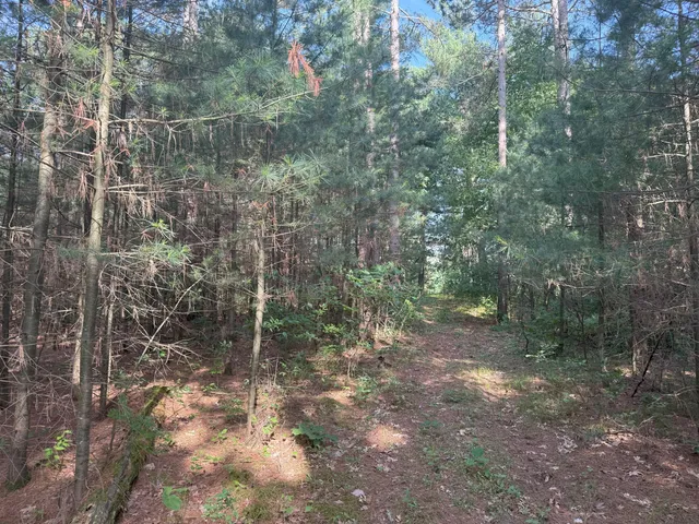 $82,500 | 353 Twin Lakes Drive, Rome, WI 54457