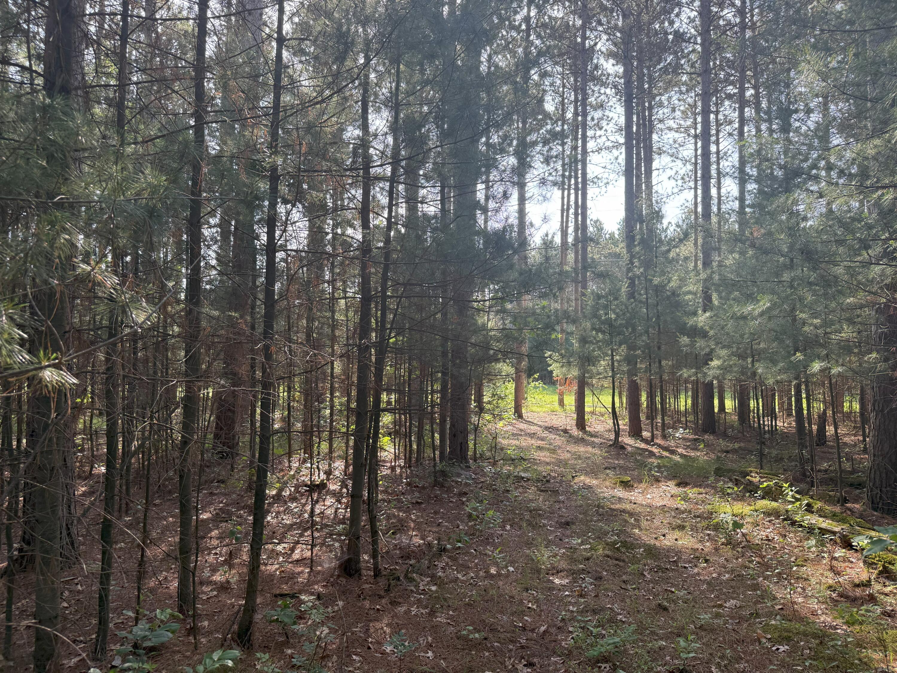 353 Twin Lakes Drive Rome, WI 54457 - Photo 14 of 39 IMG_1885