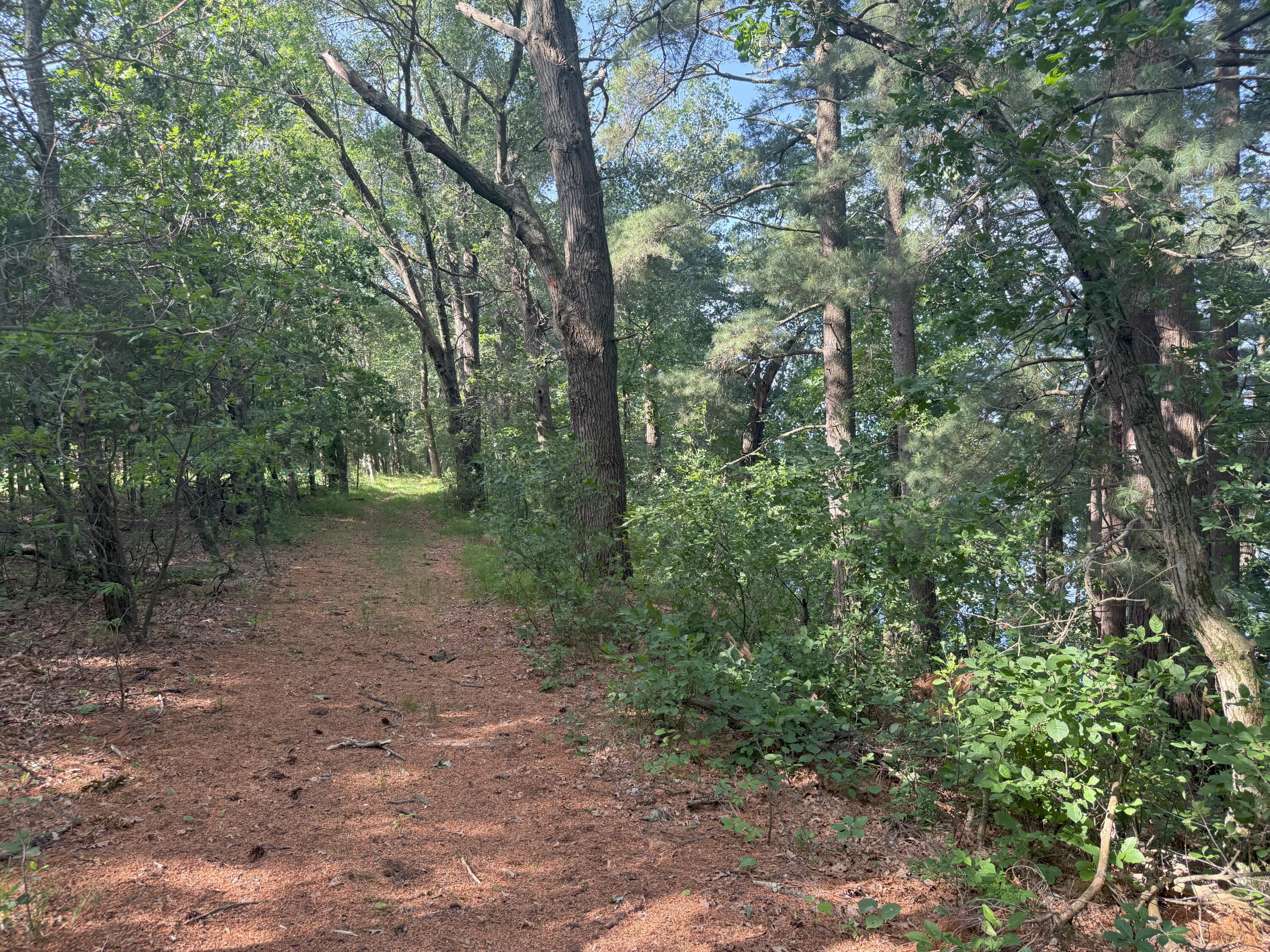 353 Twin Lakes Drive Rome, WI 54457 - Photo 17 of 39 IMG_1891(1)