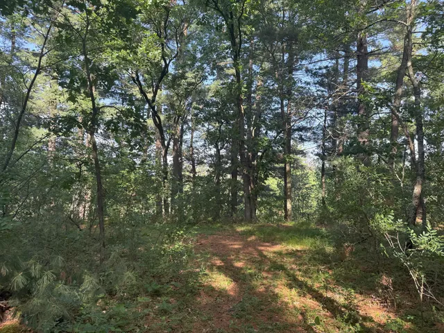 $82,500 | 353 Twin Lakes Drive, Rome, WI 54457