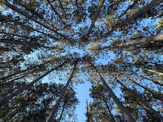 $82,500 | 353 Twin Lakes Drive, Rome, WI 54457