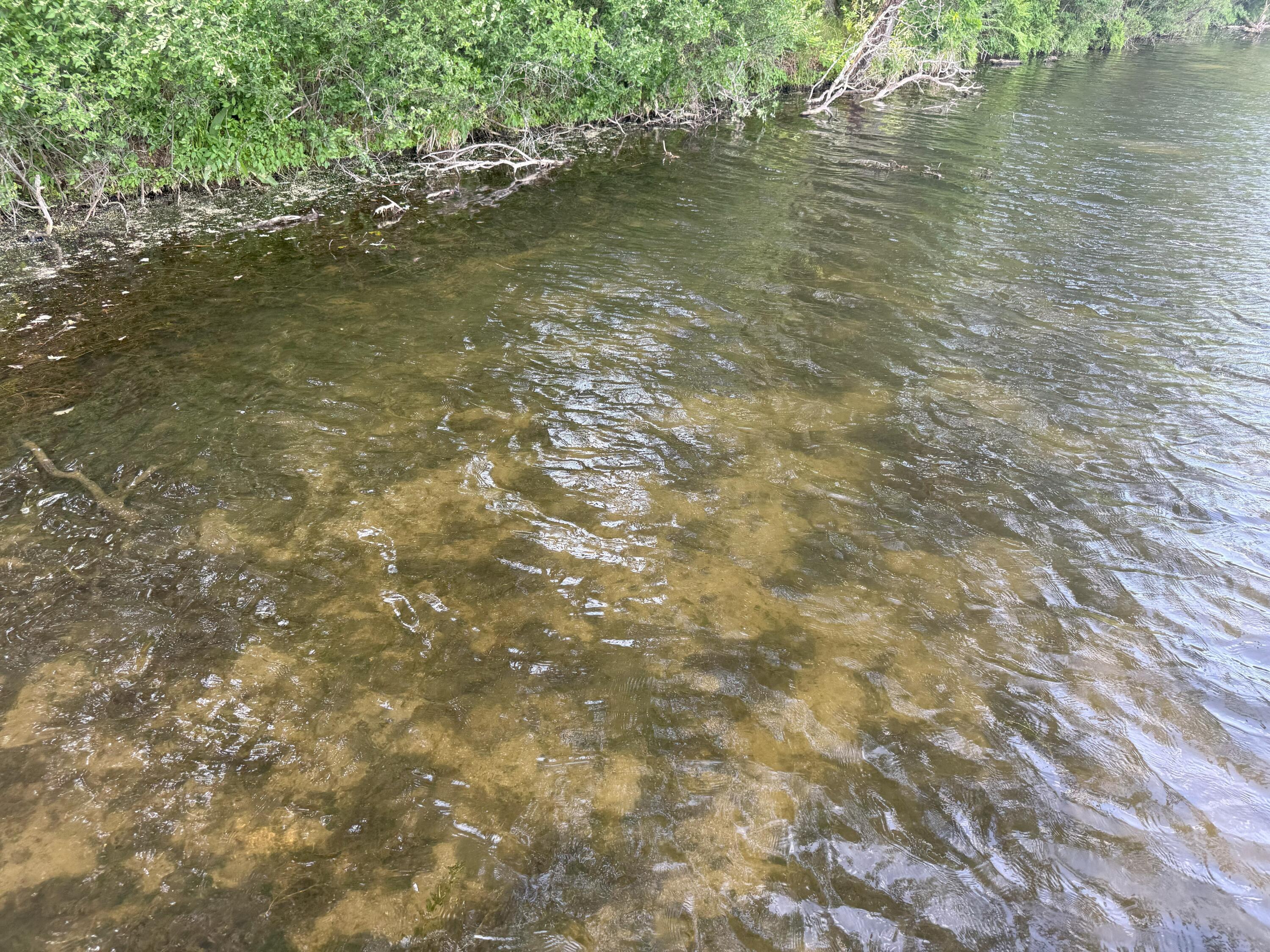 353 Twin Lakes Drive Rome, WI 54457 - Photo 27 of 39 IMG_1898(1)