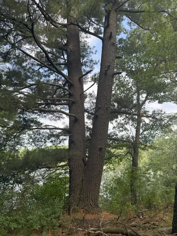 $82,500 | 353 Twin Lakes Drive, Rome, WI 54457