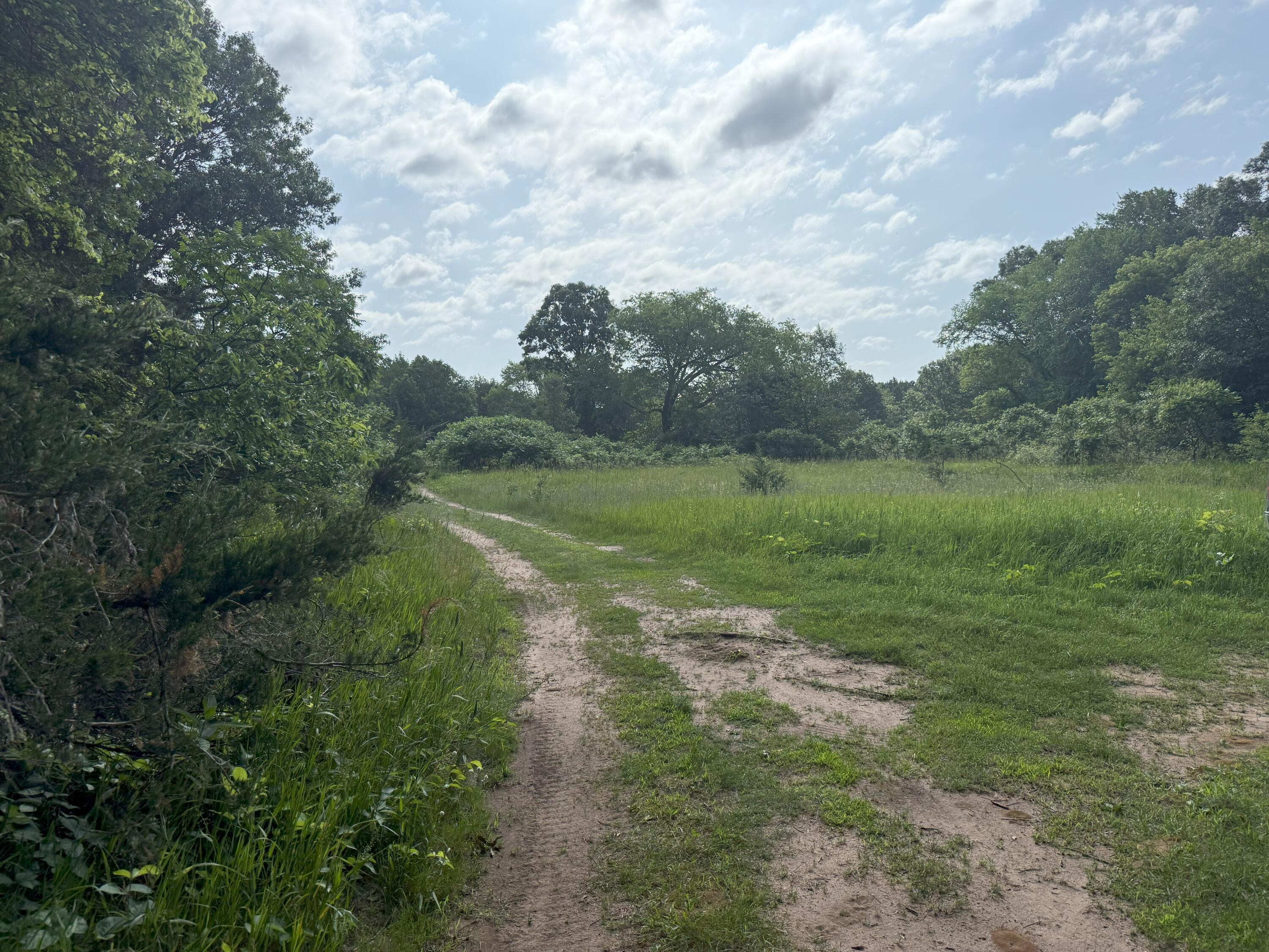 353 Twin Lakes Drive Rome, WI 54457 - Photo 32 of 39 IMG_1902(1)