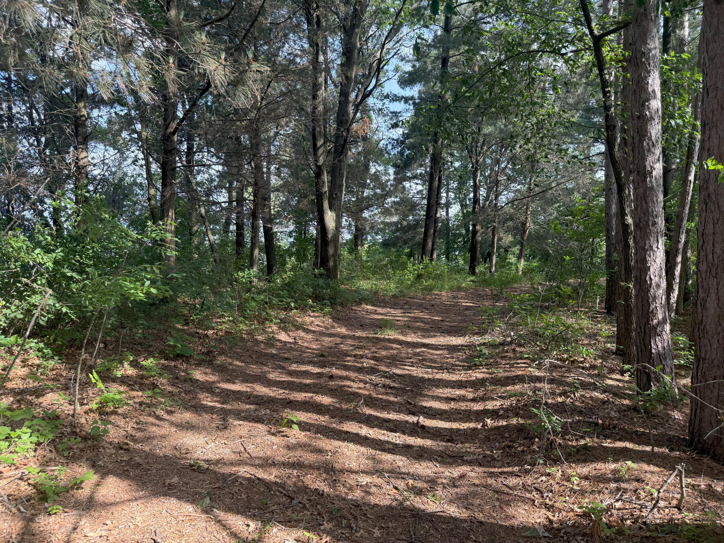 353 Twin Lakes Drive Rome, WI 54457 - Photo 36 of 39 IMG_1909(1)