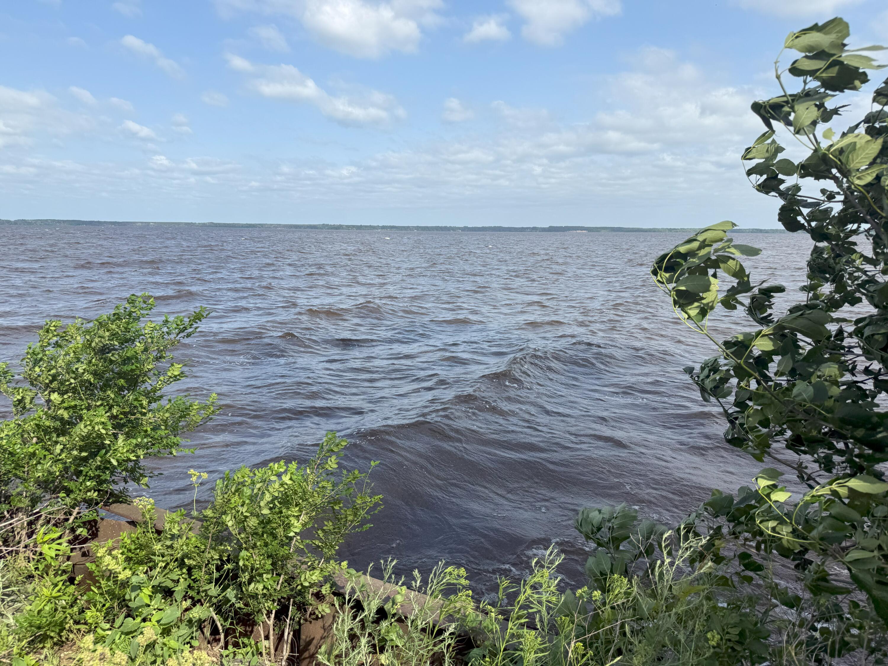 353 Twin Lakes Drive Rome, WI 54457 - Photo 38 of 39 IMG_1905