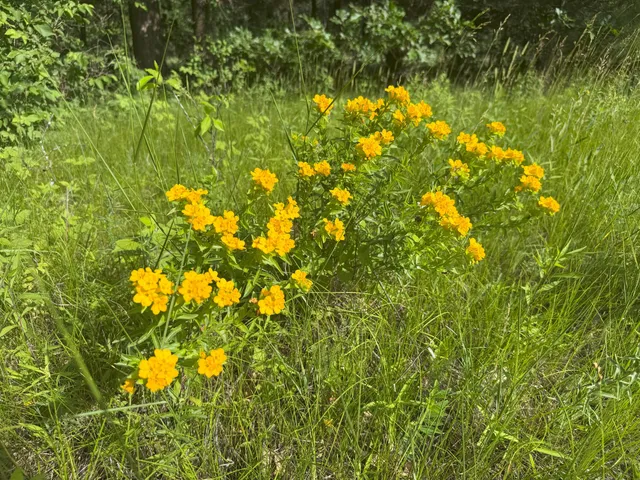 $82,500 | 353 Twin Lakes Drive, Rome, WI 54457