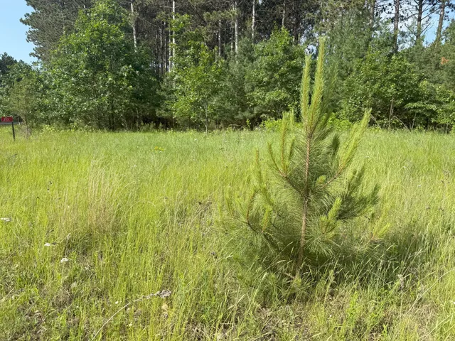 $82,500 | 353 Twin Lakes Drive, Rome, WI 54457