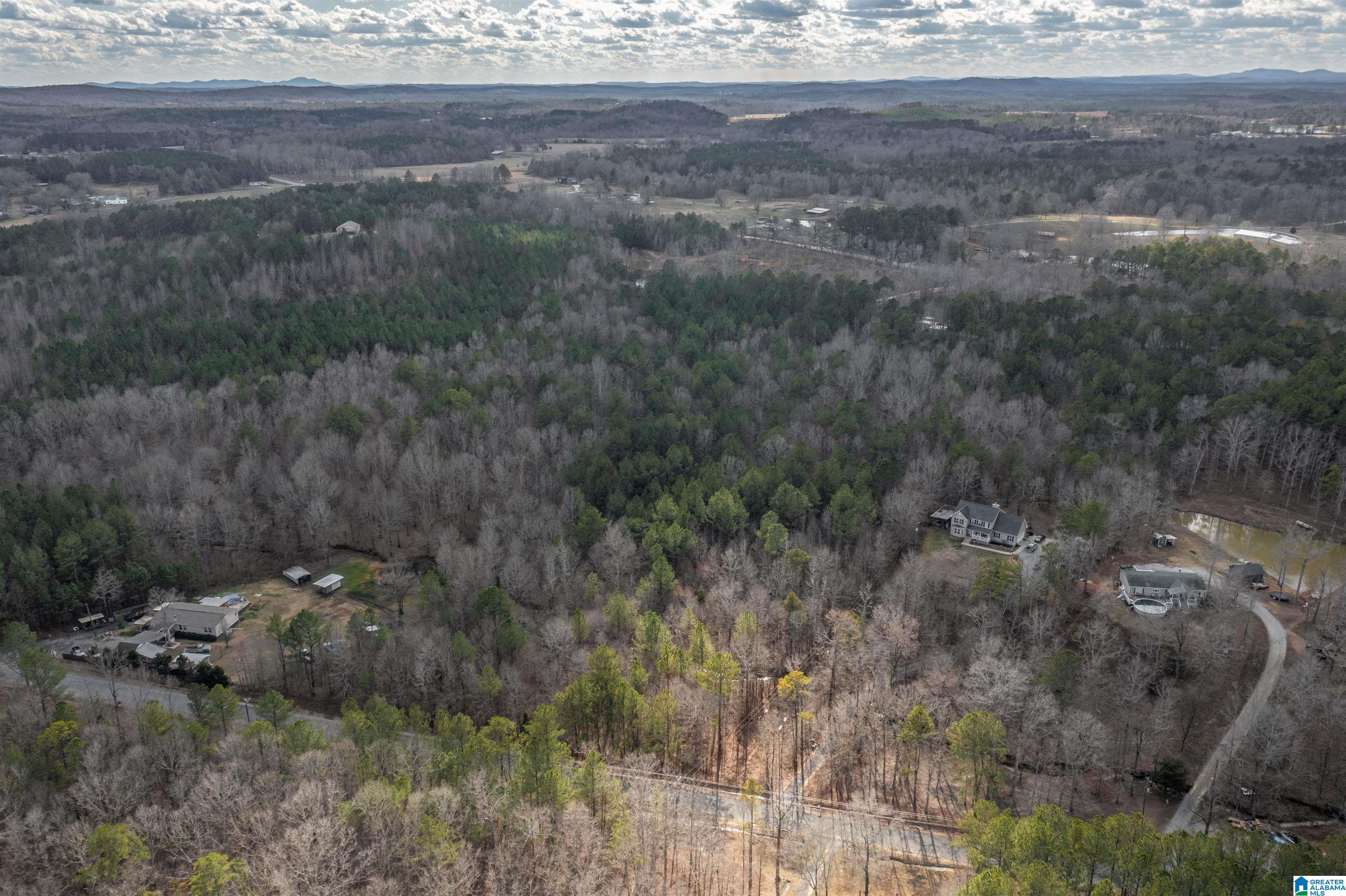 0 Francis Mill Road Ohatchee, AL 36271 - Photo 5 of 31 Gallery Image 5