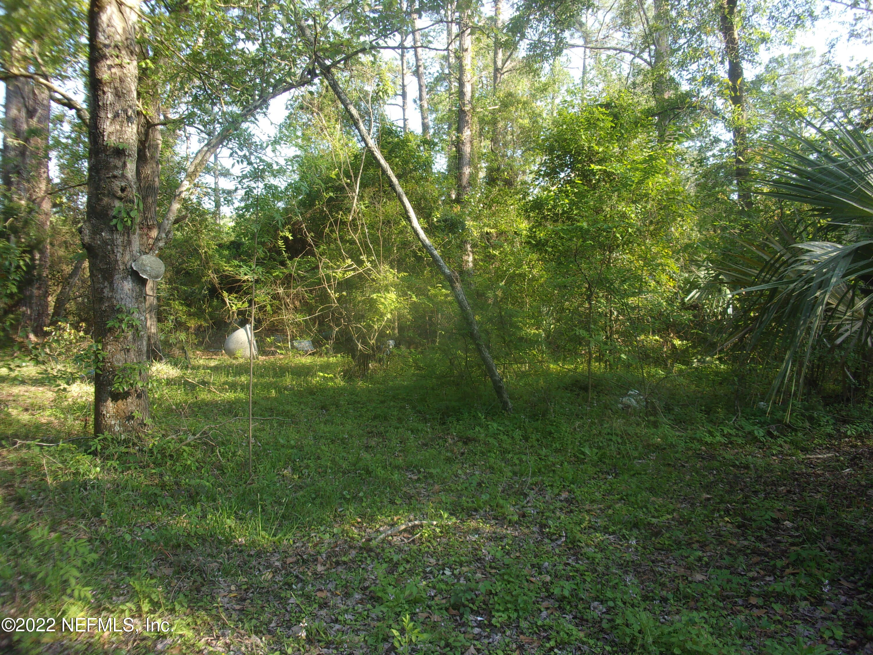 54065 Plantation Road Callahan, FL 32011 - Photo 14 of 16 Side yard