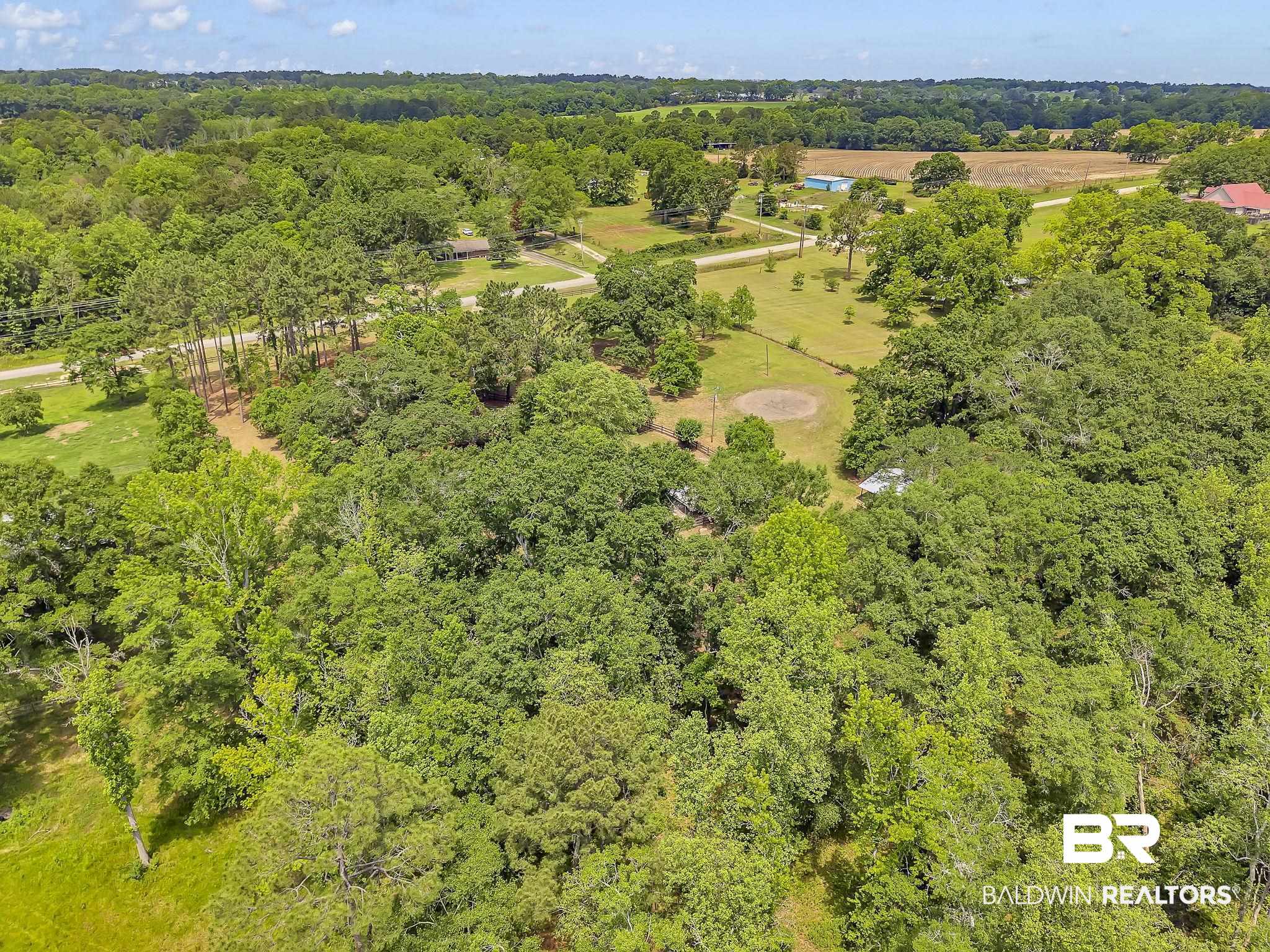 18626-1 Moore Road Andalusia, AL 36420 - Photo 13 of 17 Aerial view of a forest