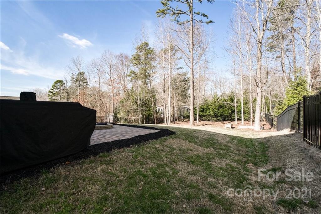 4008 Fallondale Road Waxhaw, NC 28173 - Photo 38 of 44 a view of a yard with plants and trees