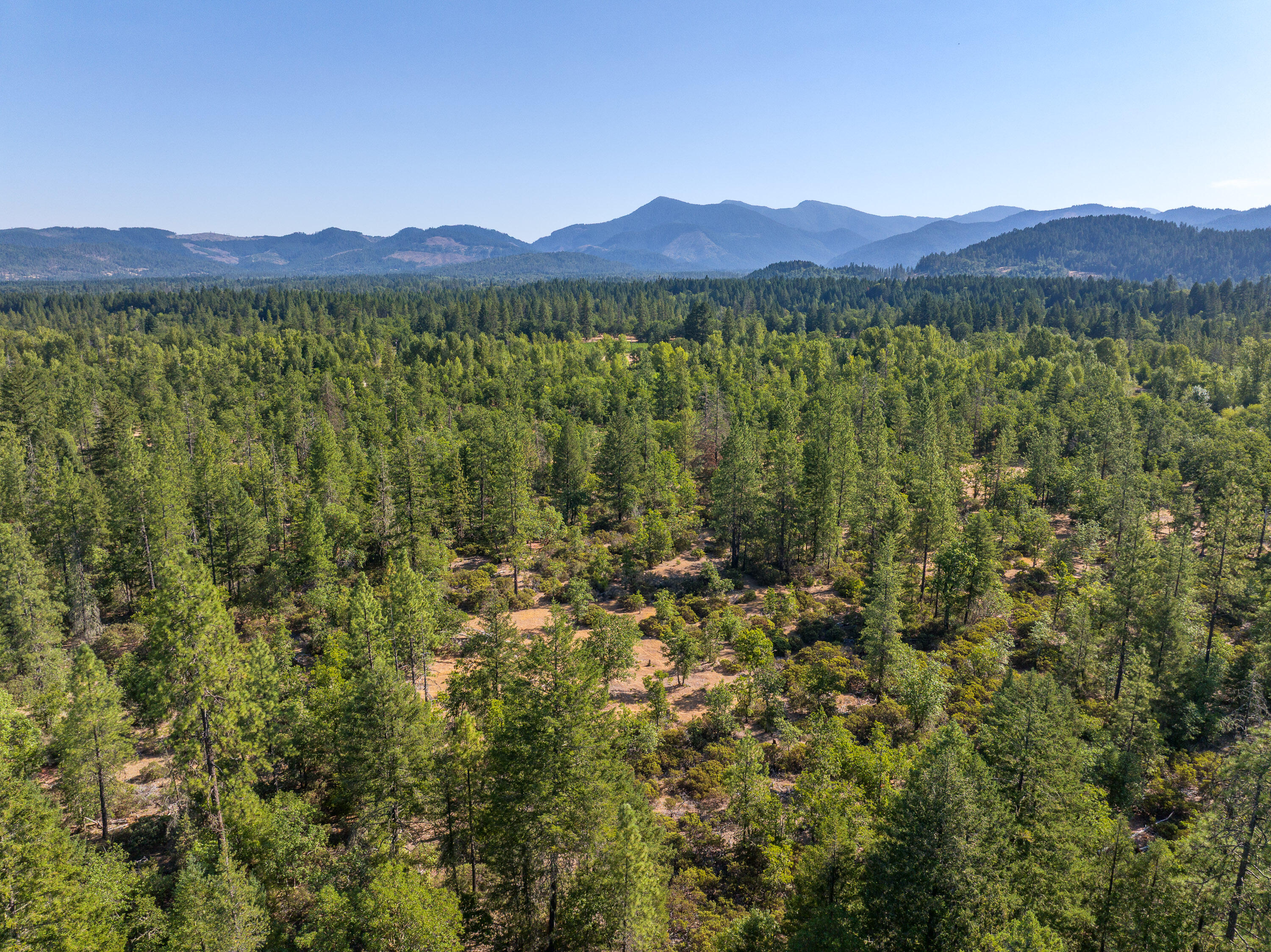 1257 Ridge Vista Drive Cave Junction, OR 97523 - Photo 23 of 26 1257RidgeVistaDr-028