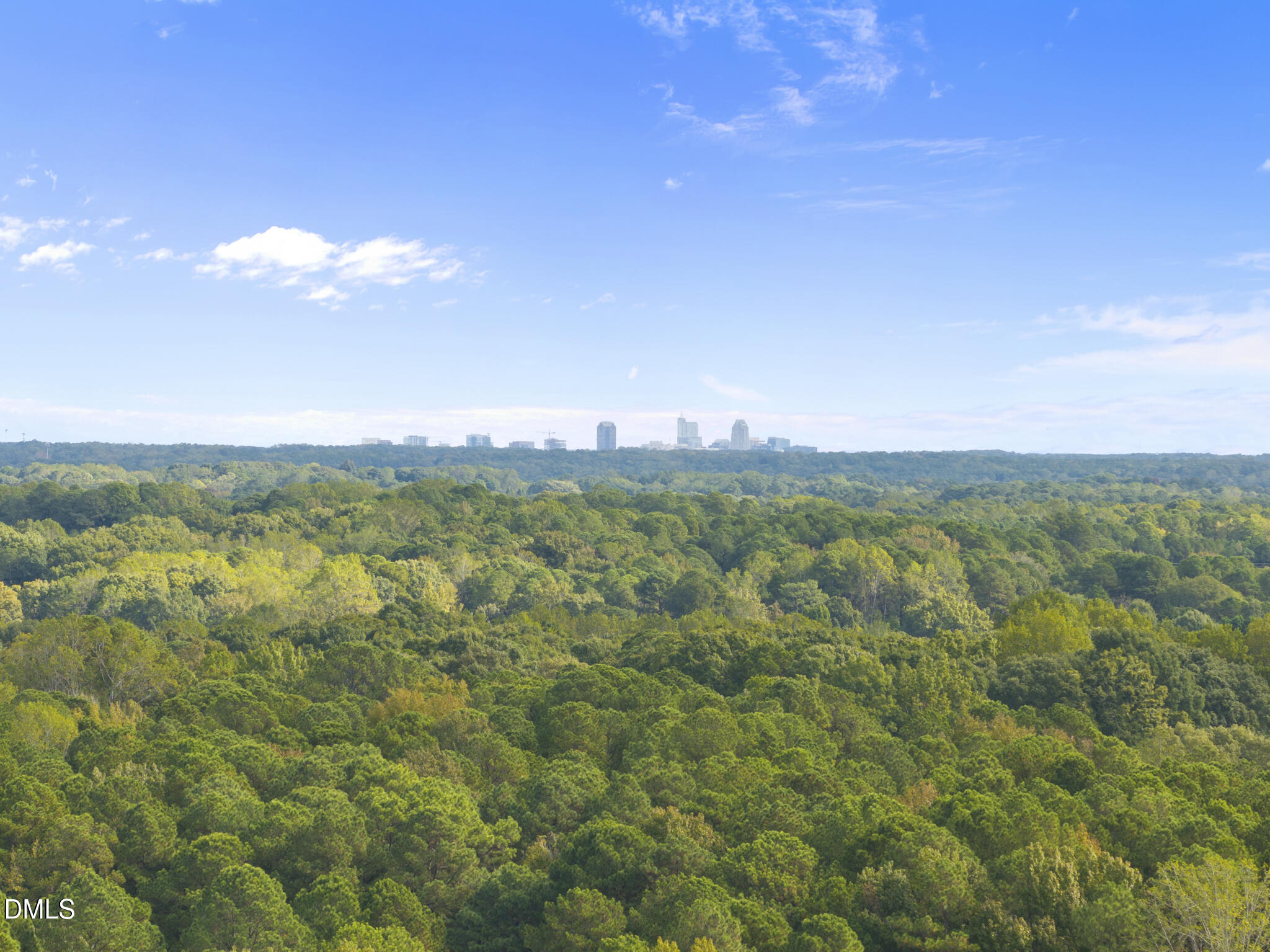 4400 Surry Ridge Circle Apex, NC 27539 - Photo 44 of 46 DJI_20251014103701_0028_D