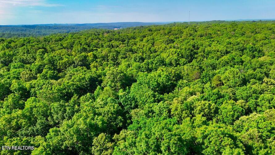 Turkey Blind Road Crossville, TN 38572 - Photo 3 of 4 TB - 3