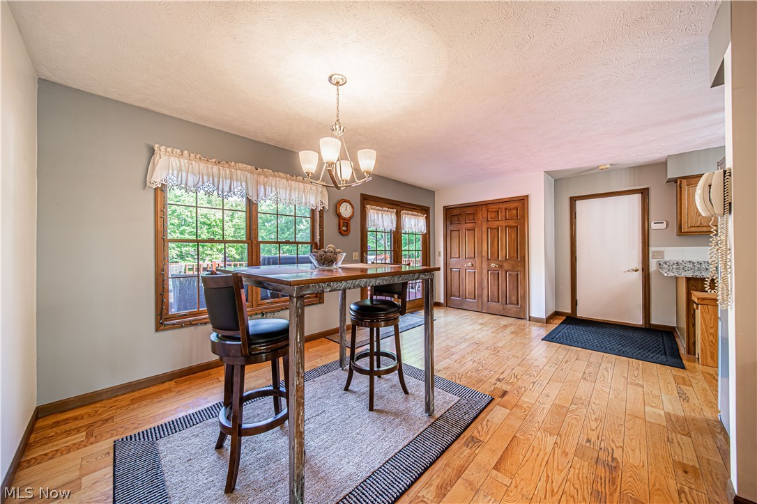 4113 River Road Perry, OH 44081 - Photo 3 of 35