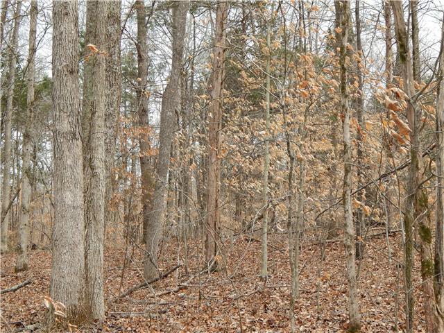 1 Maple Grove Road Dickson, TN 37055 - Photo 1 of 4 Gallery Image 1