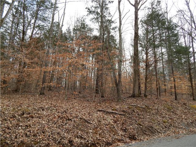 1 Maple Grove Road Dickson, TN 37055 - Photo 2 of 4 Gallery Image 2