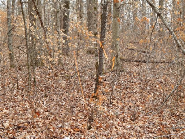 1 Maple Grove Road Dickson, TN 37055 - Photo 3 of 4 Gallery Image 3