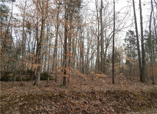 1 Maple Grove Road Dickson, TN 37055 - Photo 4 of 4 Gallery Image 4