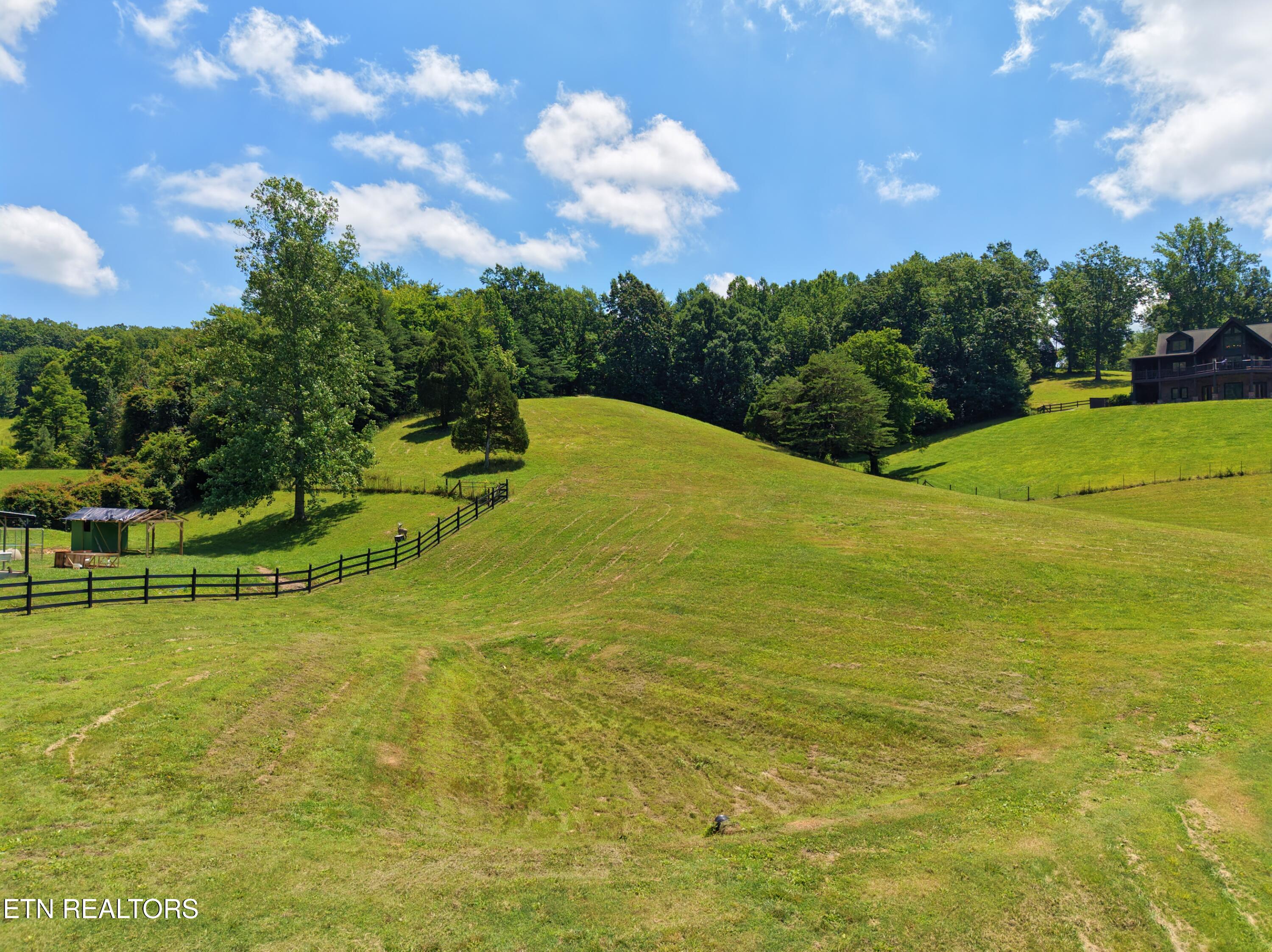 1319 Ideal Valley Road Spring City, TN 37381 - Photo 2 of 49 barn photos _1.23.1