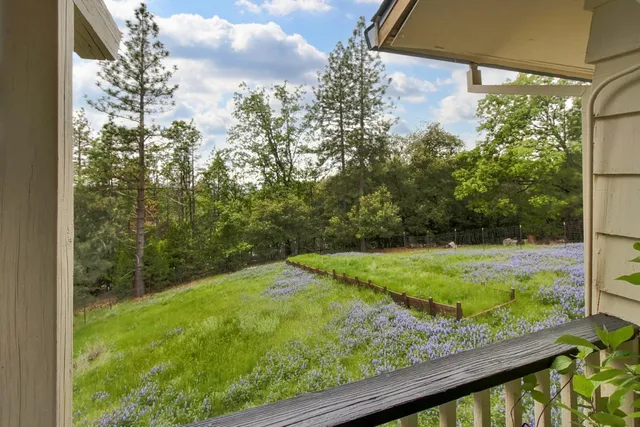 a view of a yard with potted plants