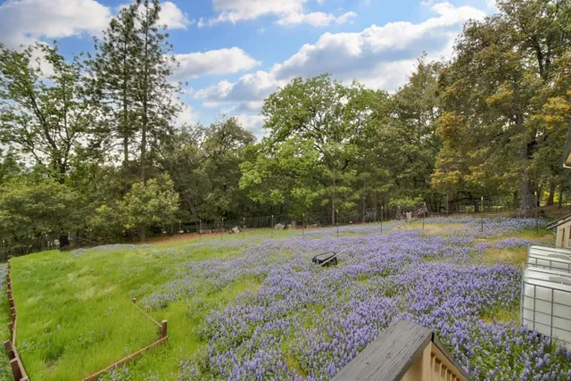 a view of backyard with green space