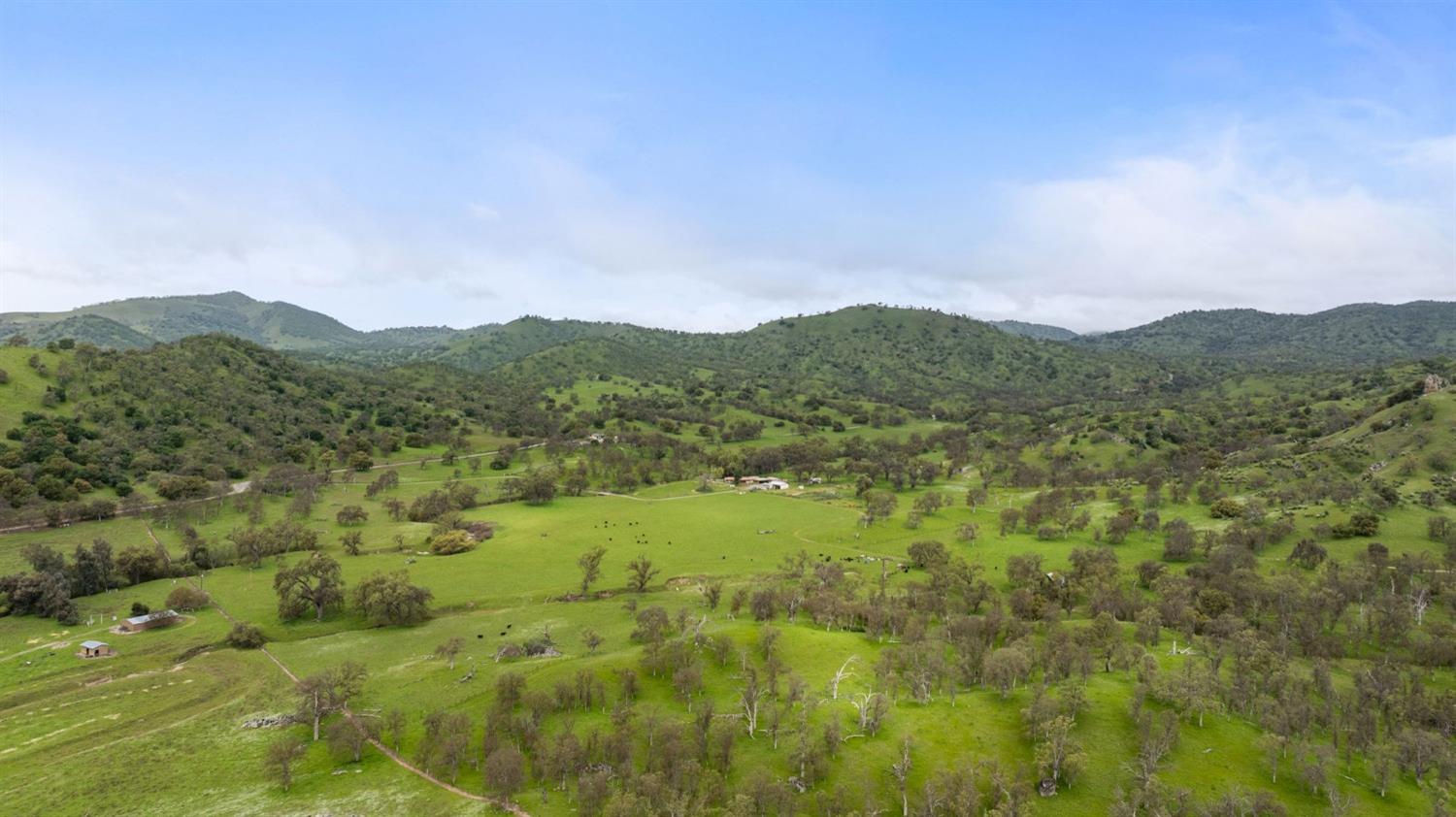 53660 Drive 152 Orosi, CA 93647 - Photo 11 of 48 a view of a lush green forest with mountains in the background