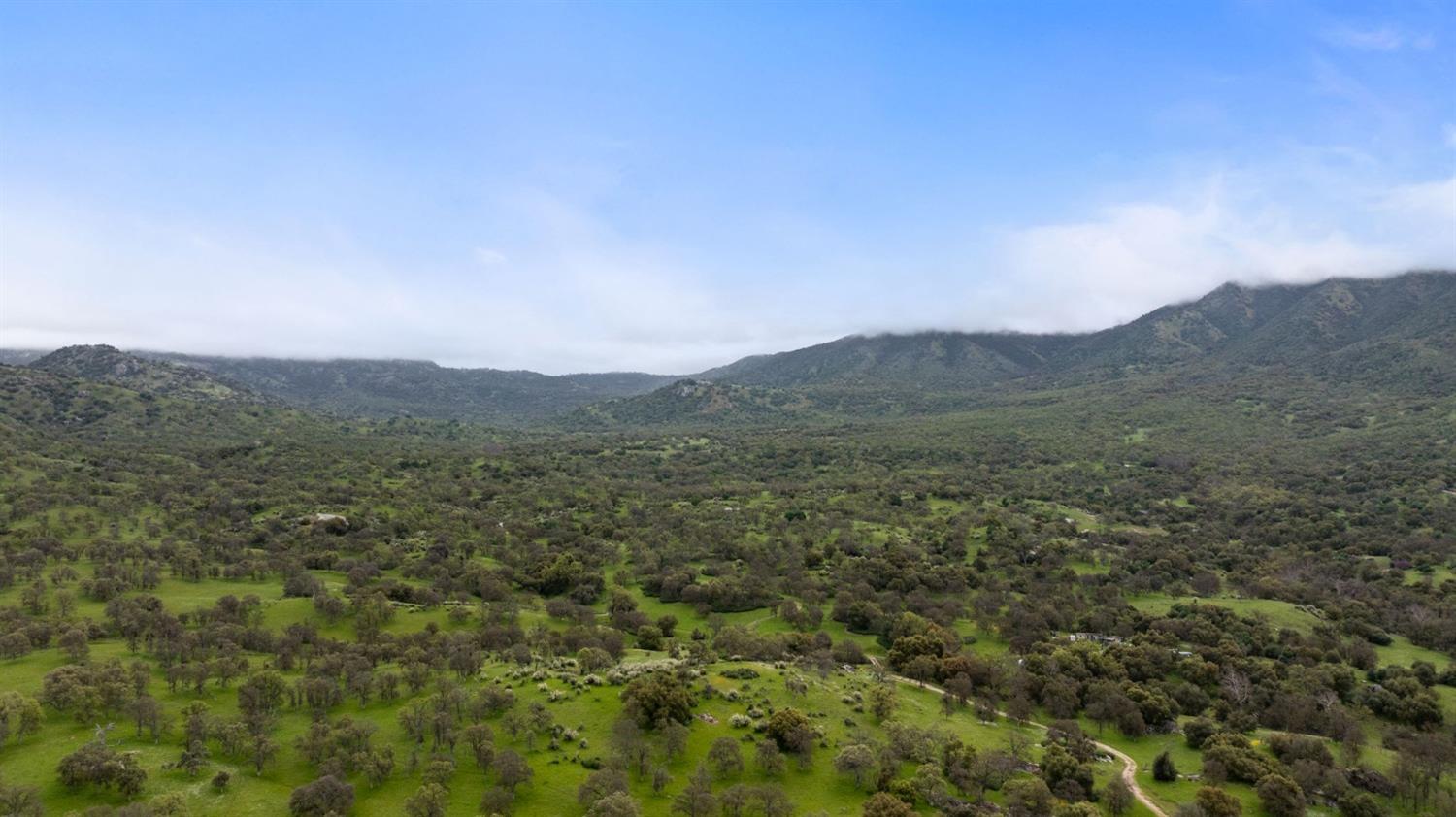53660 Drive 152 Orosi, CA 93647 - Photo 12 of 48 a view of a mountain range with lush green forest