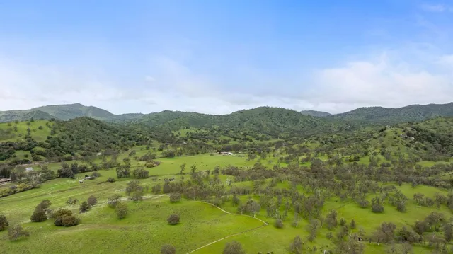 a view of a city with lush green forest