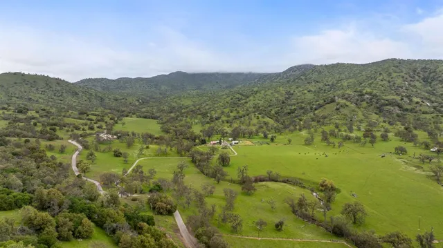 a view of a field with an ocean