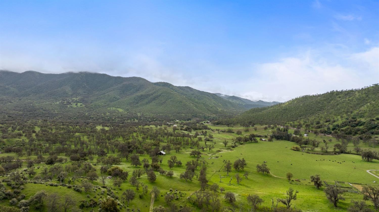 53660 Drive 152 Orosi, CA 93647 - Photo 4 of 48 a view of a town with mountains in the background