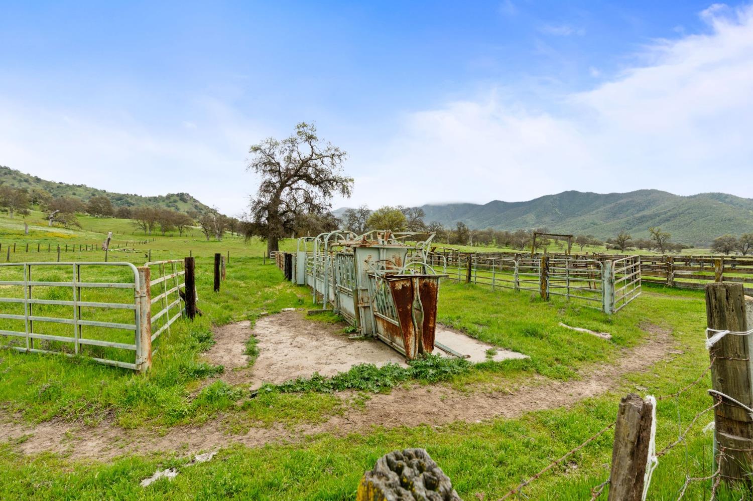 53660 Drive 152 Orosi, CA 93647 - Photo 45 of 48 a view of a lake with a mountain