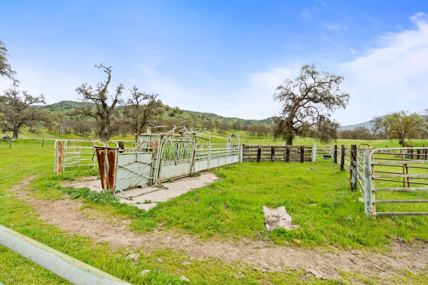53660 Drive 152 Orosi, CA 93647 - Photo 46 of 48 a view of a park with large trees