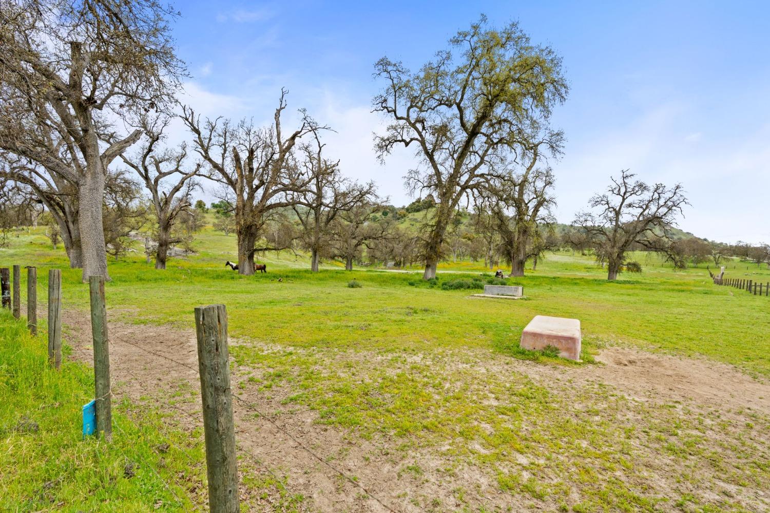 53660 Drive 152 Orosi, CA 93647 - Photo 47 of 48 a view of a golf course with a lake view
