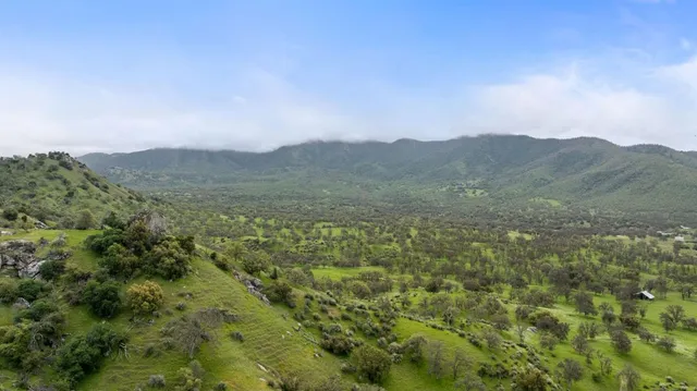 a view of a mountain range with lush green forest