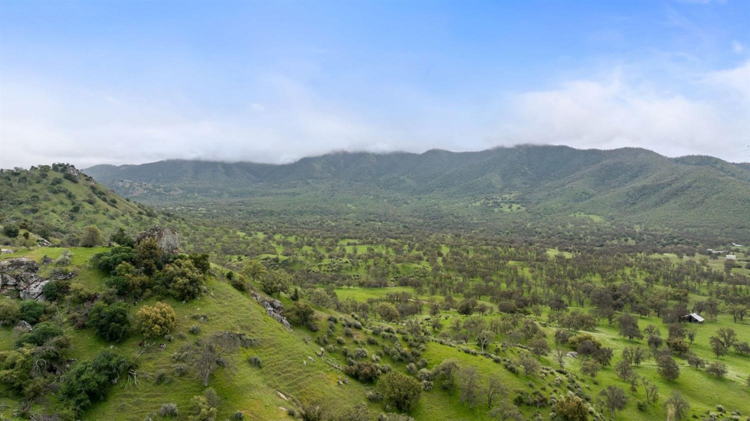 53660 Drive 152 Orosi, CA 93647 - Photo 5 of 48 a view of a mountain range with lush green forest