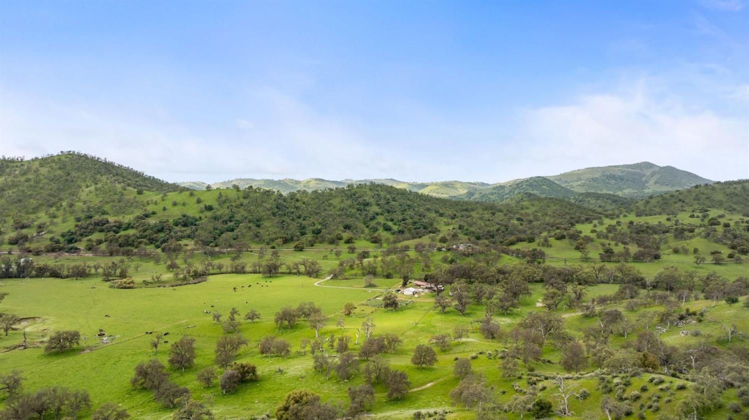 53660 Drive 152 Orosi, CA 93647 - Photo 7 of 48 a view of a lush green field with mountains in the background